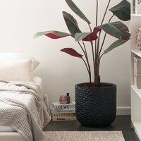 Wyld and Coco Black Round Fibre Clay Planter 43 x 43 x 42 cm