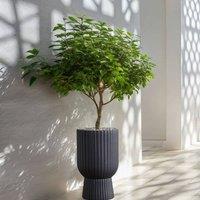 Wyld and Coco MgO Plant Pot Graphite Grey Round Pinstriped Indoor/Outdoor