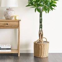 Wyld and Coco 120 cm Artificial Pachira Tree in Black Pot Braided Trunk Indoor Decor in Green