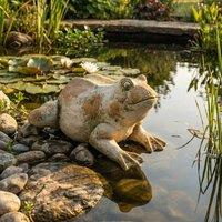 Wyld and Coco Beige Frog Garden Figurine 36 x 50 x 23 cm Outdoor Accent
