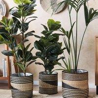 Wyld and Coco Boho Seagrass Plant Basket Set of 3 - Lined Handwoven Planters in Natural