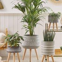 Wyld and Coco Tall Round Plant Stand Light Grey Magnesium with Beechwood Base