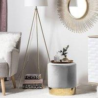 Wyld and Coco Grey Velvet Round Footstool with Gold Base