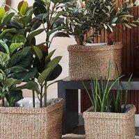 Wyld and Coco Natural Seagrass Planter Set of 3 - 23x34 cm 27x36 cm 30x45 cm in Brown | Size: Large