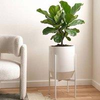 Wyld and Coco White Iron Plant Stand 33 x 33 x 62 cm Indoor Modern | Size: Large