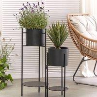 Wyld and Coco Black Powder-Coated Indoor Plant Stand