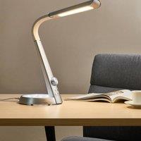 Wyld and Coco Desk Lamp Silver - LED 3 CCT Modes Dimmer USB Port Adjustable Shade