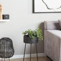 Wyld and Coco Black Iron Tripod Plant Stand 29 x 26 x 50 cm
