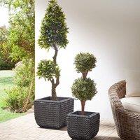 Wyld and Coco Set 2 Black PE Rattan Plant Pots Plastic Inserts Indoor and Sheltered