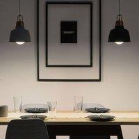 Wyld and Coco Copper-Top Graphite Pendant Lamp 179cm in Grey