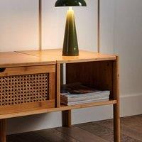 Wyld and Coco Wireless Iron Table Lamp Black Green Touch Dimmer 3 Color