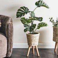 Wyld and Coco Arden Vintage Off-White Plant Pot with Beechwood Legs in White