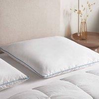 Wyld and Coco Low Duck Feather & Down Pillow 80 x 80 cm Premium Cotton in White | Size: King Pillow Case