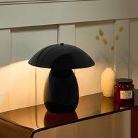Wyld and Coco Mushroom Table Lamp - 30 cm Black Iron
