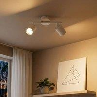 Wyld and Coco 2-Light Adjustable Spotlight Ceiling Lamp - White Painted Iron