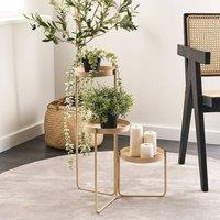Wyld and Coco Beige Iron 3-Tier Plant Stand 21 x 42 x 60 cm Indoor | Size: Medium