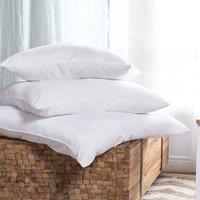 Wyld and Coco Microfibre Pillow 50 x 60 cm White - Soft Hypoallergenic | Size: Standard Pillow Case