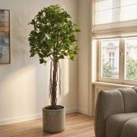 Wyld and Coco 175 cm Lifelike Artificial Umbrella Tree in Green