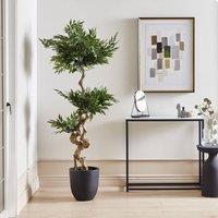 Wyld and Coco Artificial Potted Ruscus Tree 166 cm Green with Cement Base