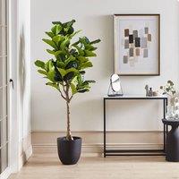 Wyld and Coco 162cm Artificial Fig Tree Green with Cement-Style Base