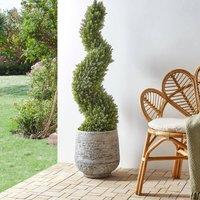 Wyld and Coco Green Potted Spiral Tree 126 cm Iron Core