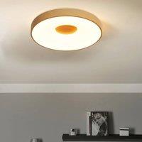 Wyld and Coco Built In LED Ceiling Light 600mm Dimmable Remote Colour in Brown