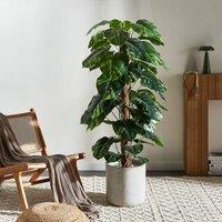Wyld and Coco Dieffenbachia 152 cm Artificial Potted Plant - Green