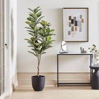 Wyld and Coco 160cm Artificial Ficus Potted Plant Green-Black in Green