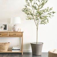 Wyld and Coco 178 cm Artificial Potted Olive Tree - Green Indoor Decorative Plant