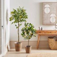Wyld and Coco 156 cm Artificial Lemon Tree Indoor Decor in Green