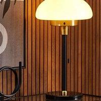 Wyld and Coco Table Lamp Matte Black Iron Brushed Gold Accents Half Globe White