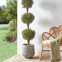 Wyld and Coco Artificial Potted Buxus Ball Tree with Solid Cratoxylum Trunk 120 cm in Green