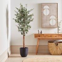 Wyld and Coco 167 cm Artificial Ficus Tree Green with Cement Base