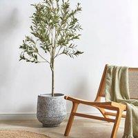 Wyld and Coco Artificial Olive Tree 153 cm Green Indoor Potted Decor