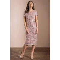 Klass. Women's Embellished Mesh Dress in Pink | Size: 14
