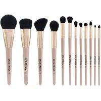 Spectrum Women's The 12-Piece Complete Brush Set