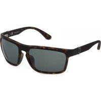 Police Men's SPLF63M630878 Square/Rectangle Sunglasses in Brown