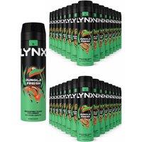 Lynx Men's Jungle Fresh Body Spray XL 48Hr HD Fragrance Deodorant, 200ml, 30 Pack in Black