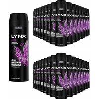 Lynx Men's Excite Body Spray XL 48-Hour HD Fragrance Deodorant, 200ml, 30 Pack in Black