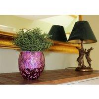 Sienna Glass Self Watering Plant Pot Pink & Purple