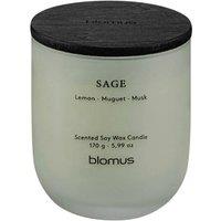 Blomus TUOKSU Sage Scented candle S - Desert Sage in Green