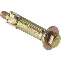 Forgefix Masonry Anchor Bolt Loose Zyp M6 X 40Mm Bag 10 in Gold