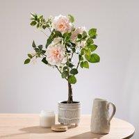 Scottish Everlastings Ltd 75cm Real Touch Pink Rose Tree in Green