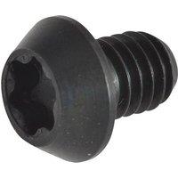 TREND Rt 3.5 Torx Replacement Screws