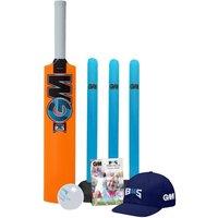Gunn And Moore Diamond Cricket Set
