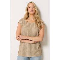 Long Tall Sally Women's Tall Textured Top in Natural | Size: 8