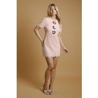 Oasis Women's Floral Detail Lace Mini Dress in Pink | Size: 10