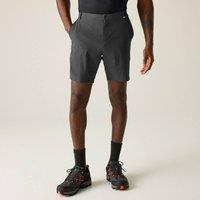 Regatta Men's Anti-Insect Travel Light Shorts in Dark Grey | Size: 34R