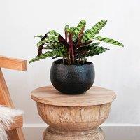 Ivyline Hammered Bowl Black/Copper, H21 x D30cm in Black