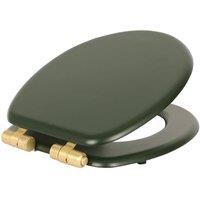 Harbour Housewares Wooden Soft Close Toilet Seat with Gold Hinges in Green